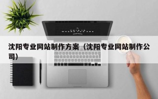 柳州沈阳专业网站制作方案（沈阳专业网站制作公司）